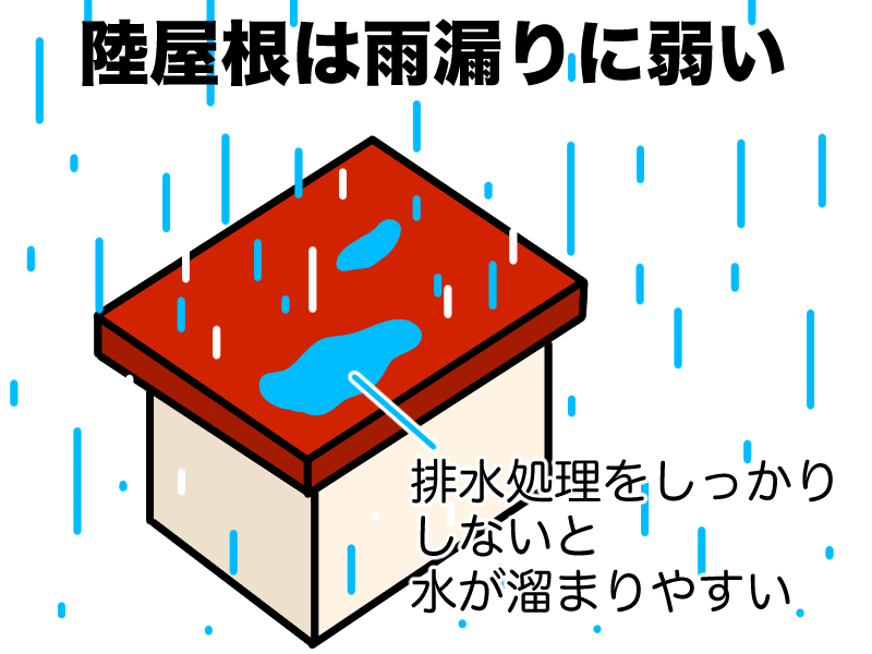 陸屋根は雨漏りに弱い