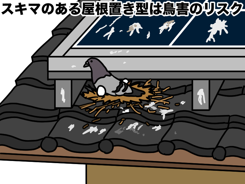 屋根置き型は鳥害のリスク
